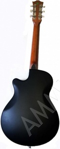 Акустическая гитара с пластиковой задней декой