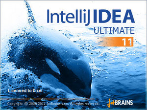 IntelliJ IDEA Personal License