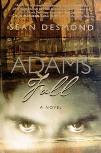 Книга Sean Desmond "Adam's Fall"