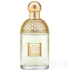 Guerlain Aqua Allegoria Herba Fresca