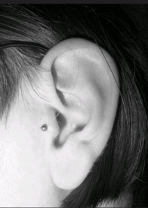 tragus