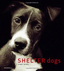 книга Shelter Dogs