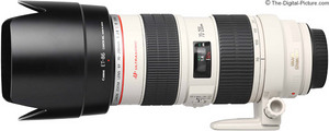 Объектив Canon EF 70-200mm f/2.8L IS USM