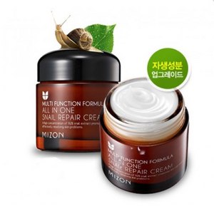 Mizon All in One Snail Repair Cream