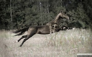 Все уже знают, какое