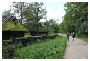 В Музей под открытым небом