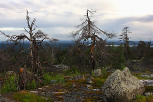 В Карелию