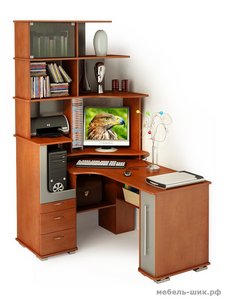 компьютерный стол со стеллажом