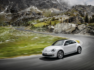 Volkswagen Beetle New