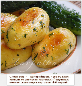 Молодая картошка