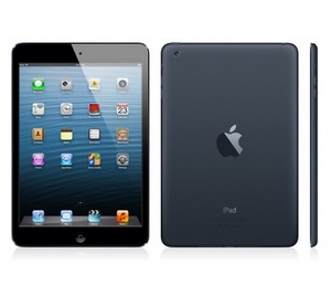 ipad mini 64gb 4g