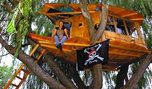 Домик на дереве, как дополнение)