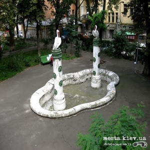 Влюбленные  пеликаны