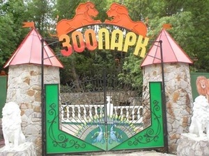 В зоопарк