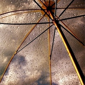 Прозрачный зонт