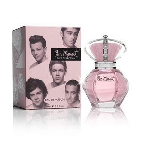 One Direction  Our Moment