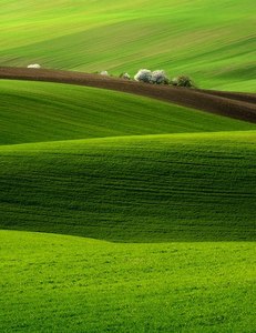 Пробежаться по полю и полежать на нем