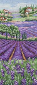 Proovence Lavender landscape