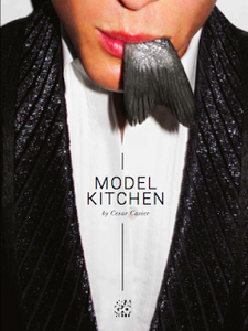 Model Kitchen by Cesar Casier