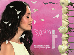 Masaki Matsushima Snowing Rose