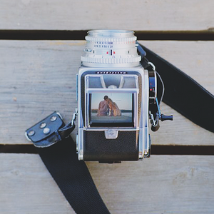 hasselblad 500cm