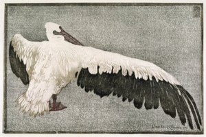 walther klemm 'vogelbuch' or book of birds, 1912