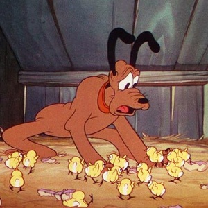 "Silly Symphonies" (13)