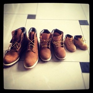 timberlands