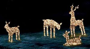 Christmas Deer Outdoor Lights