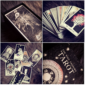 The Wild Unknown Tarot