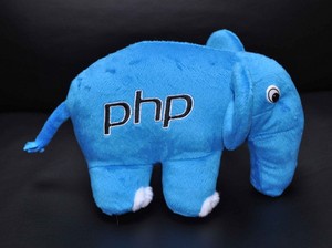 php слон