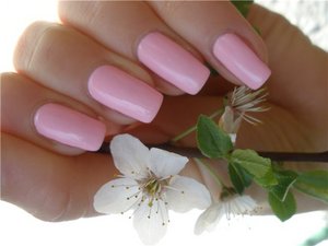 COLOR CLUB Blushing Rose