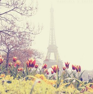 Побывать в Париже
