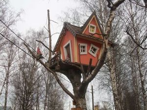 Tree house