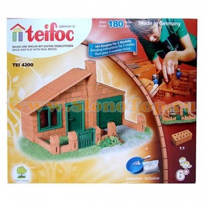 TEI 4200 Развивающий конструктор из кирпичиков "Домик"