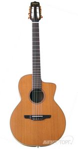 Электроакустика Takamine