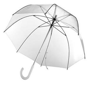 Зонт «Под куполом»