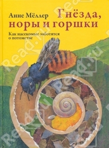 Гнезда, норы и горшки