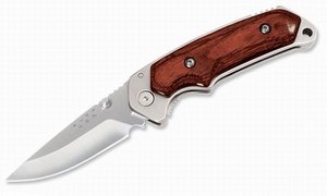 Buck Folding Alpha Hunter