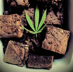 hash brownies