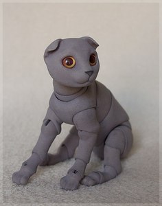 Британский вислоухий BJD кот