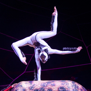 Cirque du Soleil