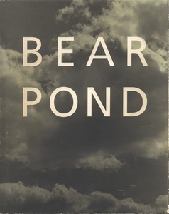 Bear Pond by Bruce Weber