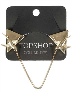 collar tips