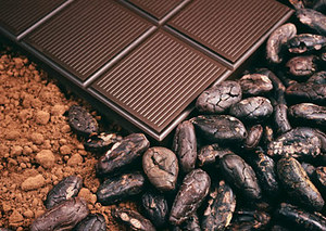 To grow fond dark chocolate