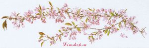 481 Japanese Cherry Blossom