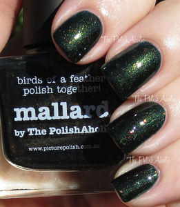 picture polish mallard