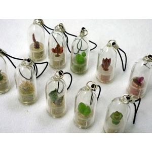 Растение в брелке