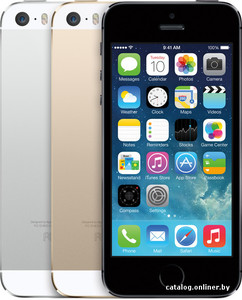 iPhone 5s