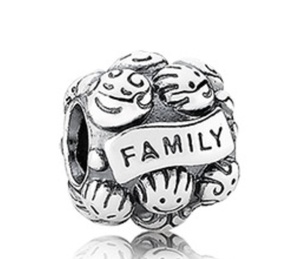 Pandora charm FAMILY